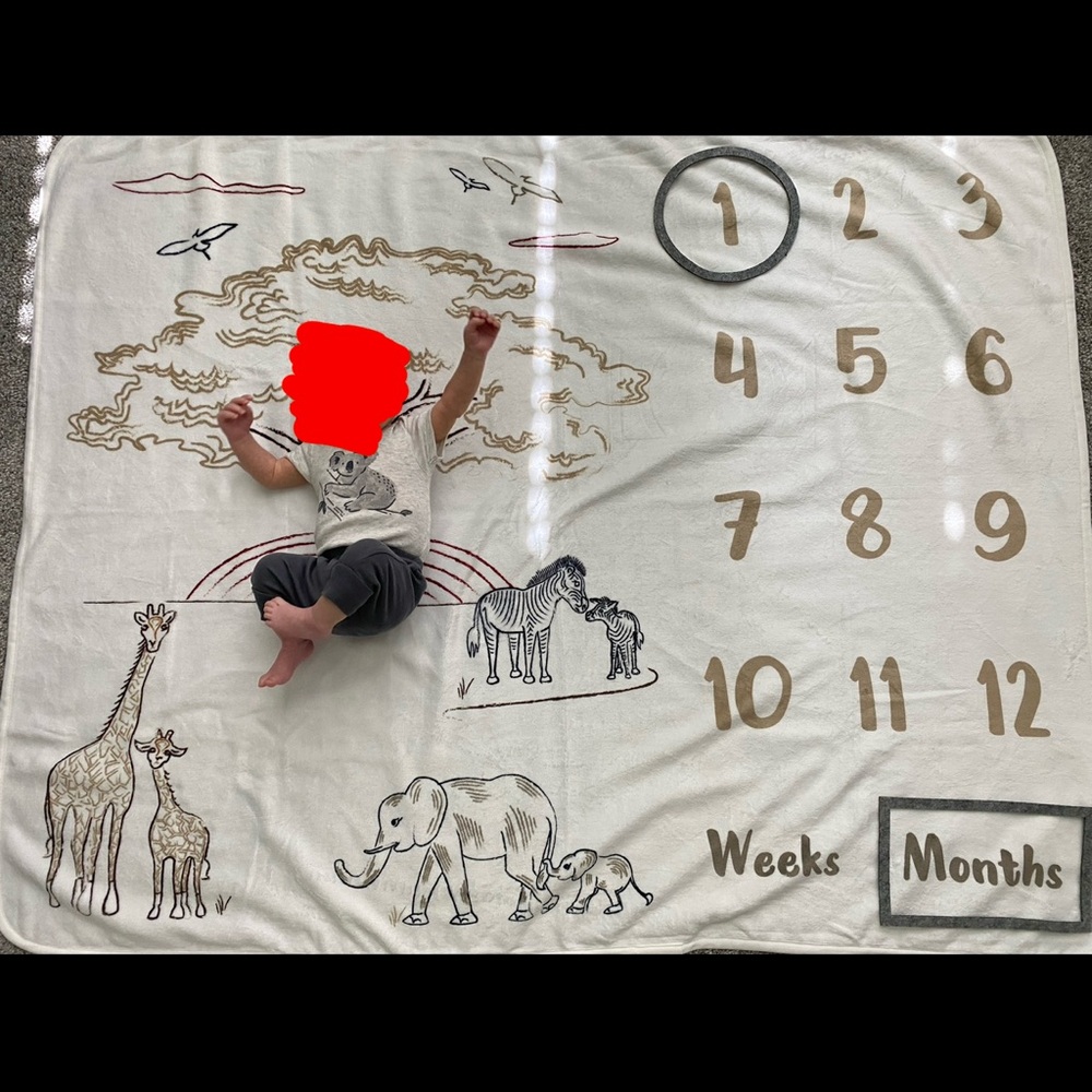 Milestone Blanket